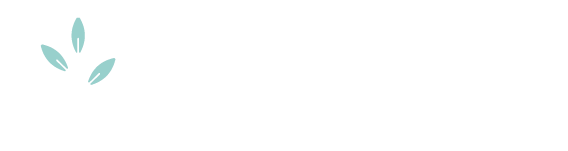 Studio Bariselli Logo